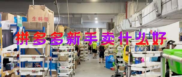 拼多多新手卖什么好，新手做拼多多卖什么比较好